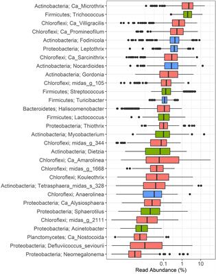 Candidatus Amarolinea and Candidatus Microthrix Are Mainly Responsible for Filamentous Bulking in Danish Municipal Wastewater Treatment Plants